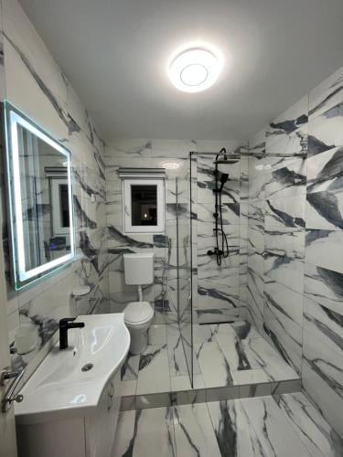 a bathroom with a toilet and a sink and a shower at Cezar Apartments in Podgorica