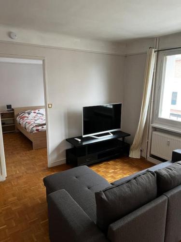 Televízia a/alebo spoločenská miestnosť v ubytovaní appartement in center
