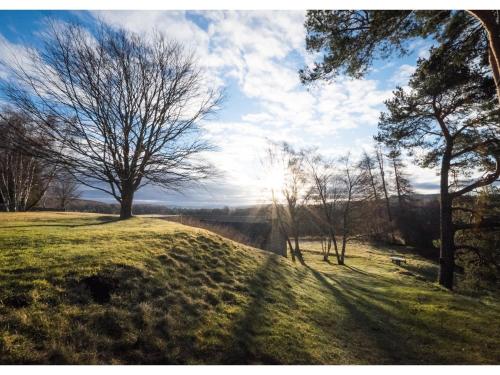 a grassy hill with trees and the sun in the sky at Dalrachney Lodge in Carrbridge