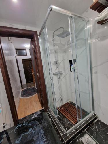 a shower with a glass door in a bathroom at Vila Odiseas in Belgrade