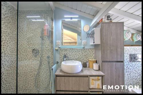 a bathroom with a sink and a shower at Hoani au coeur de la Baie Nettlé in Saint Martin