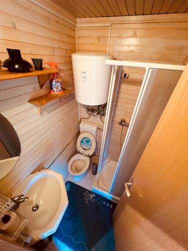 a small bathroom with a toilet and a sink at Chalet PJagodic in Cerklje na Gorenjskem