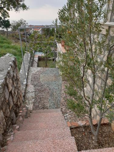 a stone stairway with a tree next to a wall at Villa Frida in Sveti Stefan