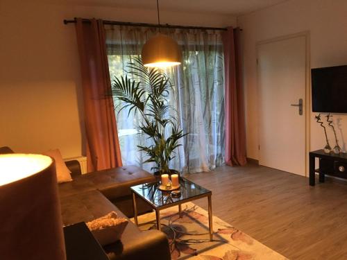 a living room with a couch and a table with a plant at Emotion zentrumsnah für bis zu 6 Personen in Winterberg