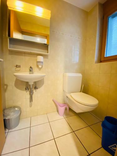 a bathroom with a toilet and a sink at Lake View Residence in Niederried