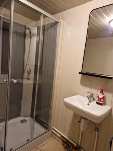 ein Bad mit einer Dusche und einem Waschbecken in der Unterkunft Mófellsstaðakot in Borgarnes