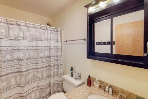 a bathroom with a toilet and a shower curtain at Mountainside 20 in Warren