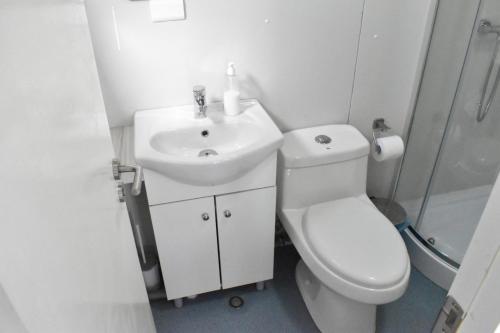 a bathroom with a toilet and a sink and a shower at Container Departamento en Puerto Natales in Puerto Natales