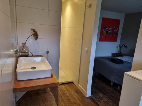 a bathroom with a sink and a bed in a room at Spacious holiday home in Leende with garden in Leende