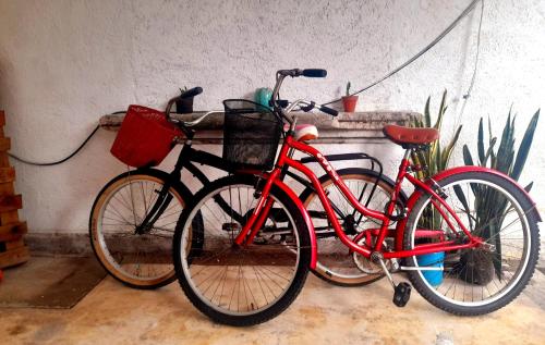 zwei Fahrräder stehen neben einer Wand geparkt in der Unterkunft Casa Iguana in Isla Mujeres