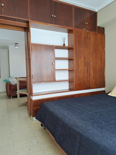 1 dormitorio con 1 cama y armario de madera en Departamento Plaza España con Wifi en Mar del Plata