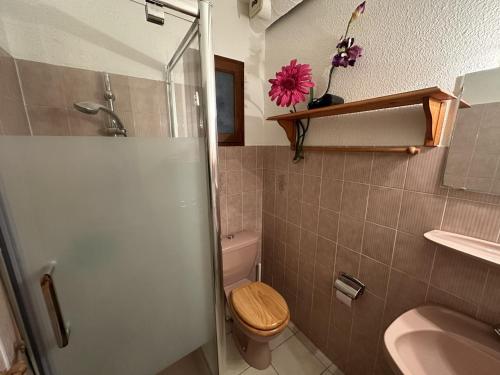 La salle de bains est pourvue d'une douche, de toilettes et d'un lavabo. dans l'établissement Studio Port-Vendres, 1 pièce, 4 personnes - FR-1-309-256, à Port-Vendres