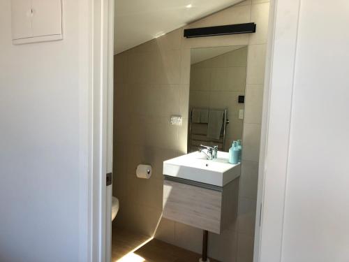 La salle de bains est pourvue d'un lavabo et d'un miroir. dans l'établissement Ruby Bay Loft Apartment, à Nelson