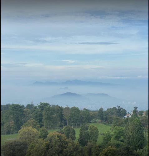 - une vue sur les arbres et la montagne au loin dans l'établissement Villa Adryan Pakuhaji Bandung, à Lembang