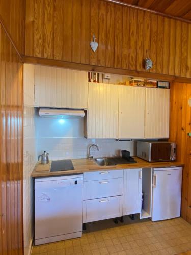 a kitchen with white appliances and wooden cabinets at DUPLEX Les Plautus in Orcières