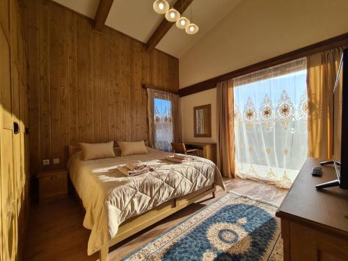 1 dormitorio con cama y ventana grande en Pirin Golf Villa Compass Property en Bansko