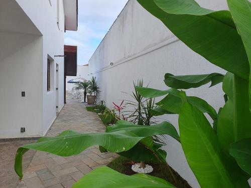 a courtyard with green plants next to a building at Royal-inn SPA & Pousada in Itanhaém