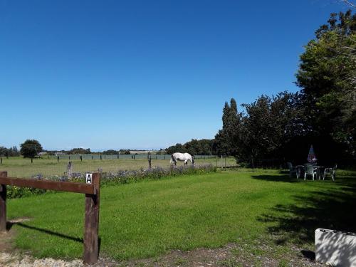 Příroda nedaleko prázdninového domu