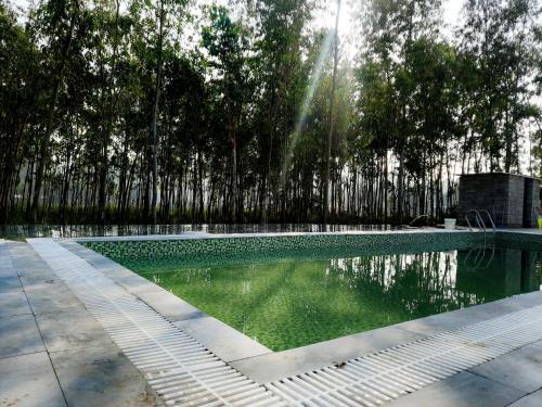 a swimming pool with a fountain in front of trees at Corbett VEDA INN in Rāmnagar