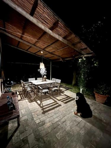 a black dog sitting on a patio with a table at Le case di Anita in Toscana -Capalbio in Capalbio