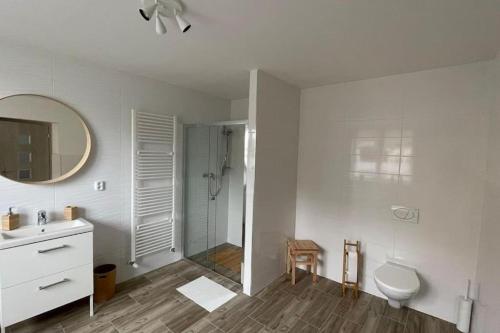 ein Bad mit einem WC, einem Waschbecken und einer Dusche in der Unterkunft Dům nad Jezerem - apartmán I. in Most
