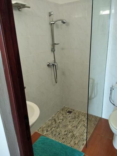 a bathroom with a shower with a sink and a toilet at Ericka et François in Quartier Monplaisir