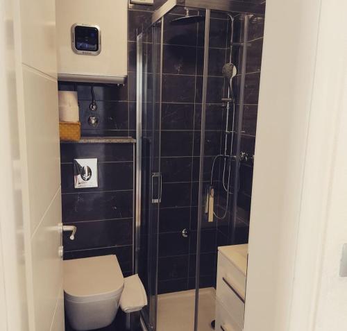 een badkamer met een toilet en een glazen douche bij Apartmani Mira Brela in Brela