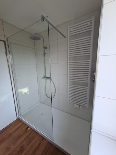 y baño con ducha y puerta de cristal. en Ferienwohnung Missen-Wilhams en Missen-Wilhams