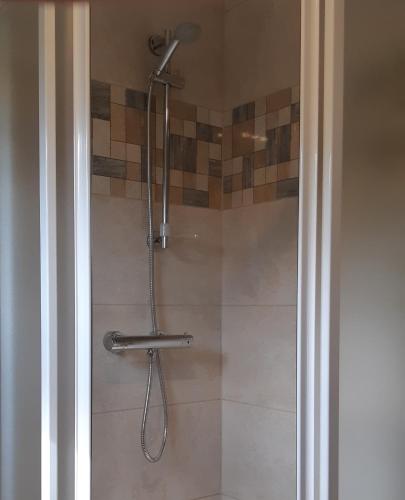a shower with a shower head in a bathroom at Hajas Família Kiadó Szobák in Balatonmáriafürdő