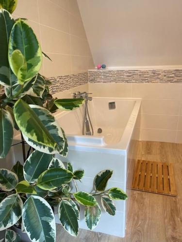 La salle de bains est pourvue d'un lavabo et d'une plante en pot. dans l'établissement Maison de vacances dans un village de charme, à Bourguignon-sous-Montbavin