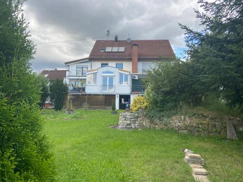 una gran casa azul en un patio con césped verde en Haus mit großem Garten 