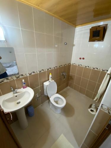 a bathroom with a toilet and a sink at Elmas Pansiyon in Karacasu