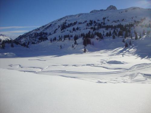 a snow covered mountain with trees in the distance at Haus Berghof in Schröcken