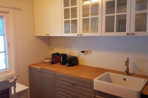 uma cozinha com um balcão com um lavatório e armários em River Run Ranch - Telemark em Drangedal