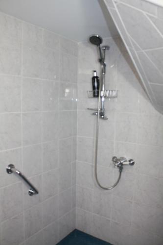 a shower with a shower head in a bathroom at The Owl House with private hot tub in Newport