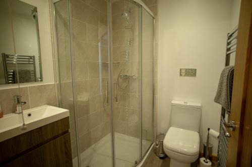 a bathroom with a shower and a toilet and a sink at Hazeldene Cottage in Parkend