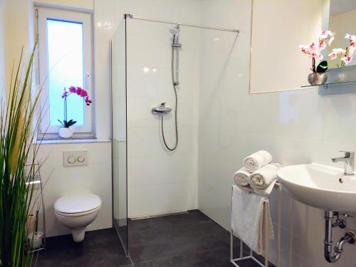 a bathroom with a shower and a toilet and a sink at Aparthotel "Dat Witte Hus" Komfortables Apartment für 6 Personen in Geesthacht