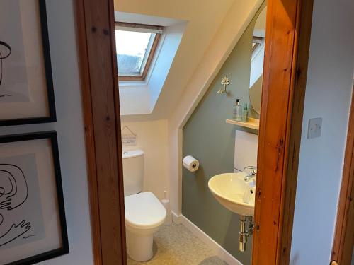 a bathroom with a toilet and a sink at 1 Keepers Cottage Skeabost Bridge Isle Of Skye in Skeabost