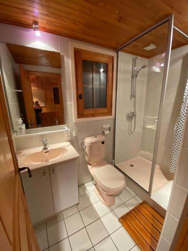une salle de bain avec toilettes, lavabo et douche dans l'établissement Chalet Cosy Les Gets Vue Montagne, aux Gets