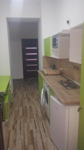 una cucina con armadi verdi e bianchi e lavastoviglie di apartament Karla Indigo a Oradea