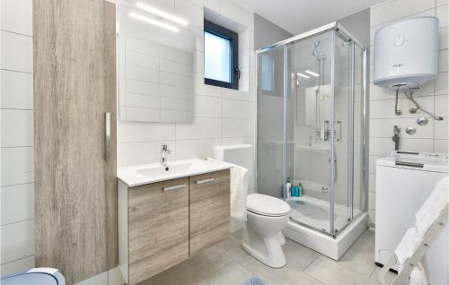 ein Bad mit einem WC, einem Waschbecken und einer Dusche in der Unterkunft 3 Bedroom Beautiful Home In Beretinec in Beretinec