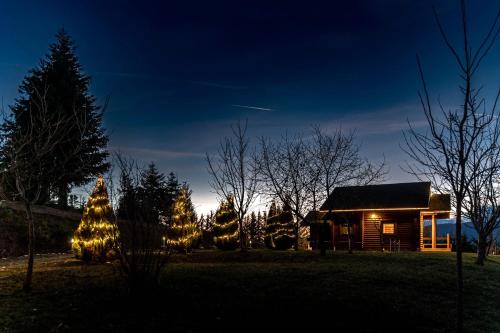 a group of christmas trees with lights in front of a cabin at The Flysch in Miríki