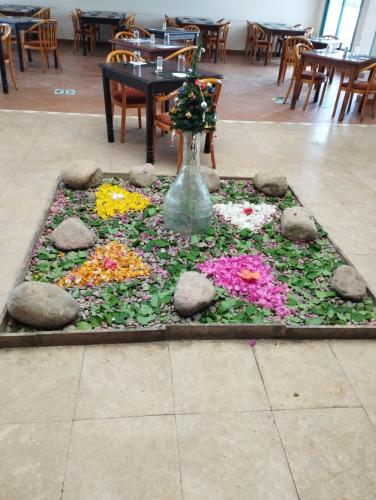 a flower garden in the middle of a restaurant at Badawia Sharm Resort in Sharm El Sheikh