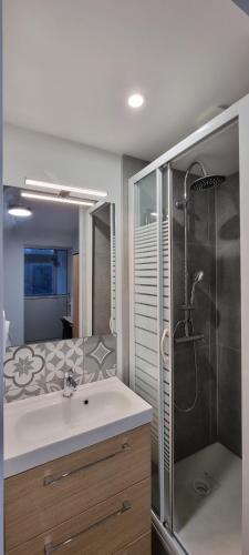 une salle de bain avec un lavabo et une douche dans l'établissement Chambres avec douche privative dans appartement partagé - Metro - Wifi, à Toulouse