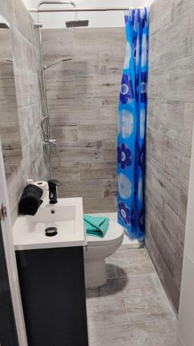 a bathroom with a sink and a toilet and a shower at Lodge El Muelle Arinaga in Arinaga