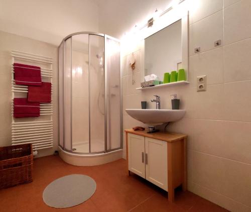ein Bad mit einem Waschbecken und einer Dusche in der Unterkunft Villa Petterhof in Schottwien