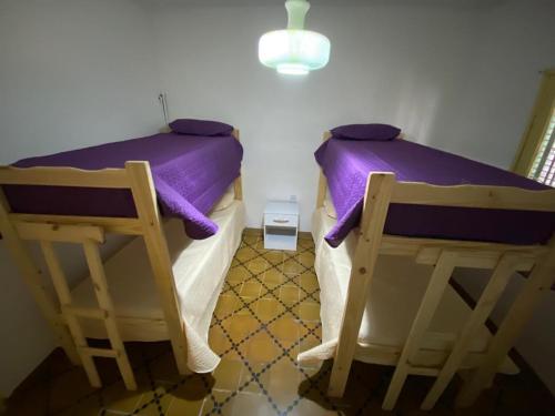 1 dormitorio con 2 camas con almohadas moradas en CASA LAS PARRAS en San Rafael
