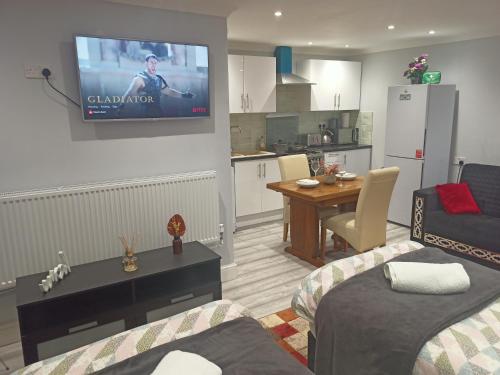 a living room with a couch and a tv on the wall at Brand New Cosy Apartment 3 Sleep, Garden access Free Wi-Fi & Parking in Newport