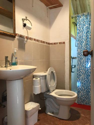 een badkamer met een toilet en een wastafel bij Axelmaria in Bajo Boquete