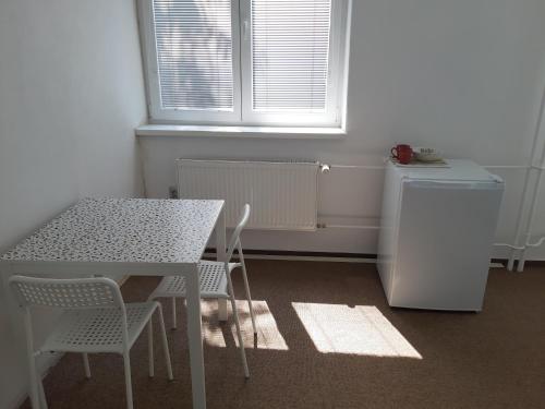 a kitchen with a table and chairs and a window at Living Bratislava &Mlynské Nivy& Bus station in Bratislava